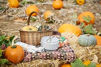 Autumn picnic in Pumpkin field including map, compass, basket and lots of pumpkins