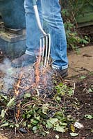 Tending a small bonfire with a garden fork