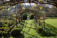 View along pergola of espalier apple trees, with topiary and grass path