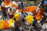 Overhead view of buying and selling at flower market selling garlands of
 Tagetes - marigolds
