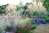 Colourful border includes Stipa gigantea Helictotrichon sempervirens Dianthus 'Devon Wizard' and Persicaria bistorta 'Superba', Bluebell Cottage Gardens, Cheshire UK 