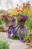 Painted childs bike with baskets of bedding plants