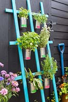 Trellis tin can planter with herbs and bright labels