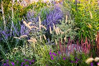 Flowering border in show garden. The RNIB Community Garden. Designers: Steve Dimmock, Paula Holland, RHS Hampton Court Palace Flower Show, 2018.