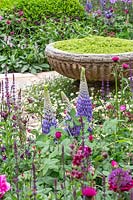 View over mixed border to stone font planted with Soleirolia - Mind your own business A Very English Garden. Sponsor: The Claims Guys, RHS Chelsea Flower Show, 2018.
