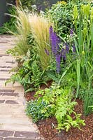 Path edged with Salvia, Stapi tenuissima and Ferns - RHS Feel Good Garden - Built by Rosebank Landscaping - Sponsor: the RHS - RHS Chelsea Flower Show 2018