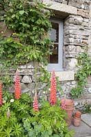 Welcome to Yorkshire Garden - Stone cottage with terracotta pots and Lupinus 'Terracotta' - Sponsor: Welcome to Yorkshire - RHS Chelsea Flower Show 2018