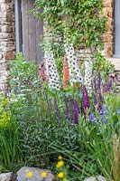 Welcome to Yorkshire Garden - Digitalis, Salvia, Iris and Lupinus - Sponsor: Welcome to Yorkshire - RHS Chelsea Flower Show 2018