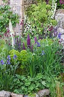 Welcome to Yorkshire Garden - Iris and Lupinus - Sponsor: Welcome to Yorkshire - RHS Chelsea Flower Show 2018