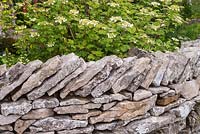 Dry stone wall in show garden. Welcome to Yorkshire garden, Sponsor: Welcome to Yorkshire, RHS Chelsea Flower Show, 2018.
