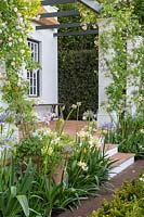 The Trailfinders South African Wine Estate - Pergola covered with climbing Rosa 'Paul's Himalayan Musk' and Agapanthus praecox - Sponsor: Trailfinders Ltd - Chelsea Flower Show 2018