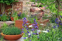 The Silent Pool Gin Garden - Terracotta planters, water feature, and 'Citrus Peel' copper sculpture by Giles Rayner - Anchusa azurea 'Dropmore' and Hornbeam - Carpinus betulus - Sponsor: Silent Pool Distillers - RHS Chelsea Flower Show 2018