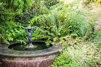Circular pond with fountain and mixed foliage plants, ferns and bamboos - Shropshire, UK