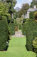 Looking through topiary Taxus baccata syn. Yew to the House at Plas Brondanw
