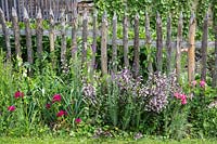 Mixed border planting along the character fence featuring dianthus barbatus, digitalis purpurea 'Alba',  linaria purpurea, penstemon, digitalis 'Husker's Red'