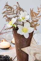 Helleborus niger with dried bracken fern foliage in rusty vase