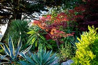 Colourful mixed planting - Pam Woodall's garden, 'Pinecombe' in Dorset, UK
