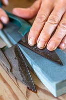 Sharpening topiary shears on oiled stone