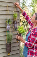 Hanging tiered plastic bottle herb planters to shed