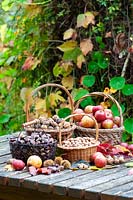 Baskets of nuts and apples  in a garden. 