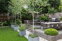 Large garden in St John's Wood - Betula utilis Jaquemontii in contemporary zinc 
containers, underplanted with  Lavender with raised deck seating area 
