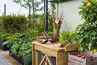 Potting bench with herbs and garden trug - 'The Perfumer's Garden', RHS Malvern Spring Festival, 2018. Sponsor: Keyscape Design. 