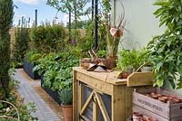 Potting bench with herbs and garden trug - 'The Perfumer's Garden', RHS Malvern Spring Festival, 2018. Sponsor: Keyscape Design.