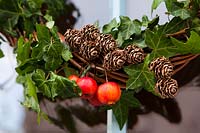 Christmas wreath made with ivy, crab-apples and larch fir-cones.