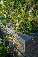 Stone veneered raised bed with Stipa, Verbena and Romneya coulteri. 'RNIB Community Garden', RHS Hampton Flower Show 2018.
