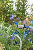Vintage blue bicycle. 'RHS Growing Community Garden', RHS Hampton Flower Show 2018