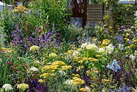 Mixed border of perennials - RNIB's Community Garden, RHS Hampton Court Palace Flower Show 2018