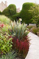 Contemporary garden incorporating historic Taxus baccata - yew - topiary and curving stone path through
 beds planted with: Imperata cylindrica 'Rubra', Phormium, Miscanthus and
 Cornus

