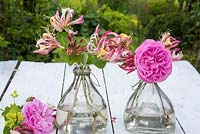 Cut flowers of Lonicera periclymenum 'Belgica' and pink Rosa in glass vases.