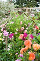 Salvaged iron bedstead serves as a decorative support in a border full of dahlias. Hilltop, Stour Provost, Dorset, UK. 