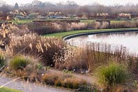 Bleached grasses and herbaceous plants around glasshouse lake, RHS Wisley.