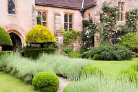 Courtyard garden with lavender and clipped yew, Cothay Manor, Somerset