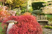 Seat with hebes, Cornus, Cotinus and Acer palmatum. Chiffchaffs, Dorset, UK