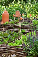 Terracotta items in vegetable raised beds: items such as forcing pot and pots
 on top of canes in vegetable garden
