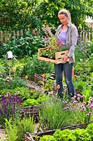 Woman holds crate filled with herbs and flowers ready for planting in vegetable garden