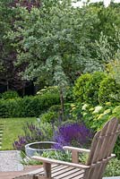 Adirondack chair with border to whitebeam, Sorbus aria 'Lutescens'
