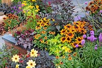 Colourful flowerbed with Heuchera, Rudbeckia and Helenium. The Buzz of Manchester' garden, RHS Tatton Park Flower Show, 2018.