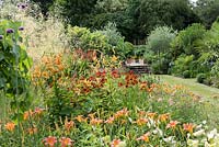 A hot late summer prairie style border planted with Helenium 'Sahin's Early Flowerer', Hemerocalis fulva, Lilium tigrinum and Stipa gigantea. Beyond, exotic borders and steps to potager.