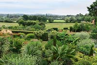 A exotic country garden with views to Hannington Hill  near Watership Down beyond. Exotic planting below includes Trachycarpus fortunei, Trachycarpus wagnerianus and Musa basjoo.