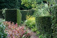 View to  between hedges of Taxus baccata - Yew-  at Veddw House Garden, Monmouthshire, Wales, UK.