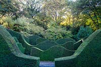 Wave-form hedges of Taxus baccata - Yew - in the Hedge Garden.  Veddw House Garden, Monmouthshire, Wales, UK. 