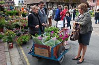Hanging baskets for sale in street market plant fair, Beuvron-en-Auge, Normandy, France