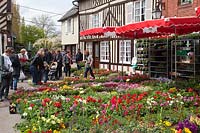 Hanging baskets and bedding plants for sale at a street market plant fair in Beuvron-en-Auge, Normandy, France. 