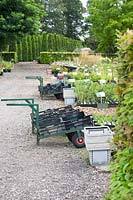 Wheelbarrows and crates for buying plants, Fahner Nursery, Netherlands