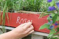 Writing name of herbs on  pallet planter with chalk.