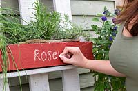 Writing name of herb on pallet planter with chalk.